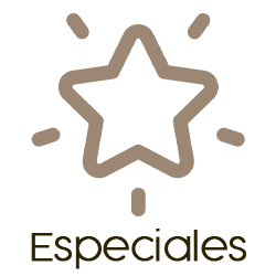 ICONOS2